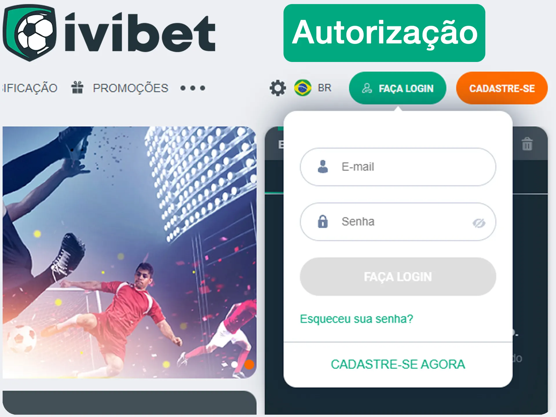 Faça o login usando sua conta.